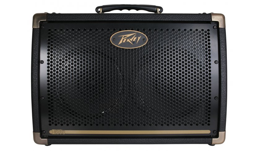 PEAVEY ECOUSTIC E208